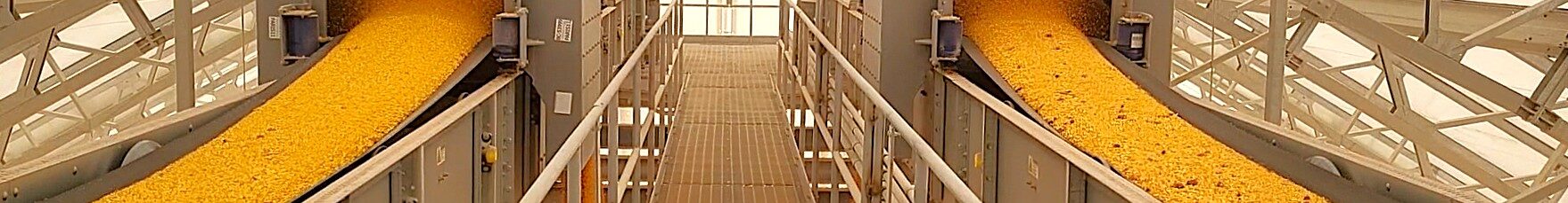 How to Plan Capital Improvements for 2027 Ag Facility Projects