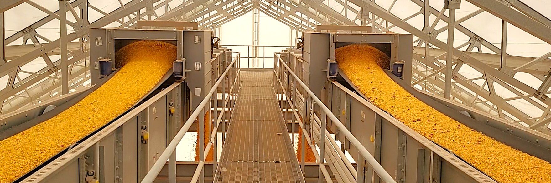 Explore your Unique Custom Design