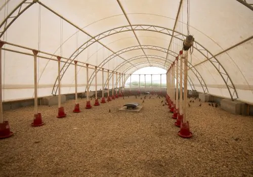 The inside of fabric Storage Buildings for Agriculture, one designed to hold livestock